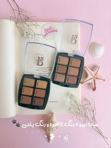 سایه ابرو ۶ رنگ P2 مات و کاربردی برای ابرو و چشم